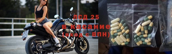 гашик Аркадак