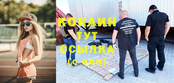 гашик Аркадак