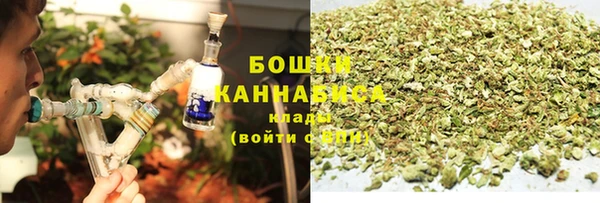 соль ск Арсеньев