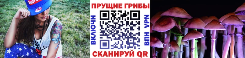 kraken маркетплейс  Крымск  Псилоцибиновые грибы мицелий  где можно купить  